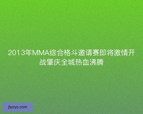 2013年MMA综合格斗邀请赛即将激情开战肇庆全城热血沸腾 2013年MMA综合格斗邀请赛即将激情开战肇庆全城热血沸腾